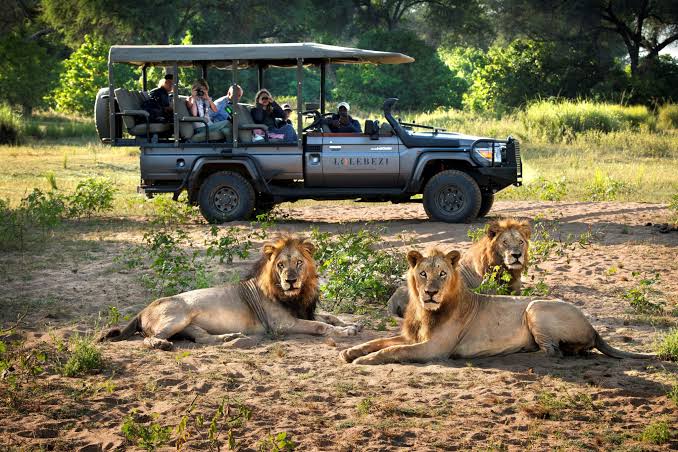 HUNT IN SOUTH AFRICA