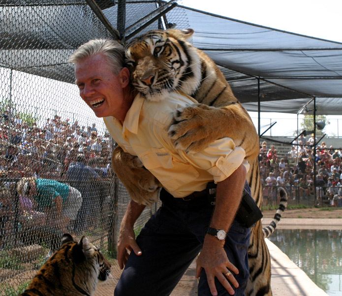 Tiger Splash
